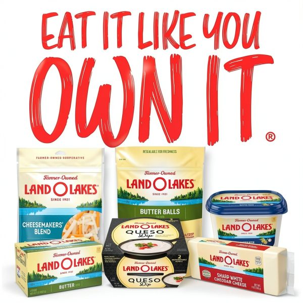 Land O Lakes American Cheese Sliced Sandwich Burger Protein-9