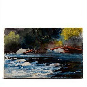 River Science Book by Skyhorse – 670‑Page Kindle Edition with X‑Ray-0