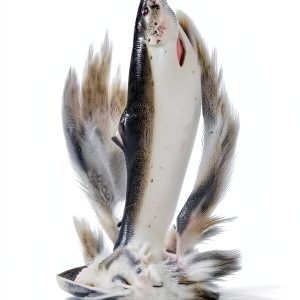 River Science eBook by Skyhorse Kindle Book Ecology Guide-0